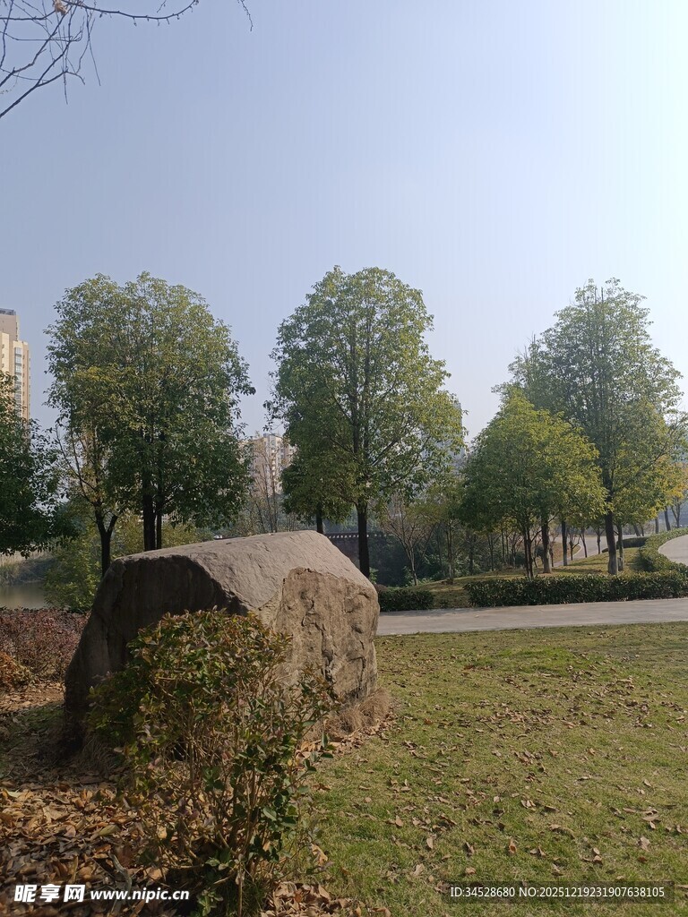 户外草地旁的巨石与绿树