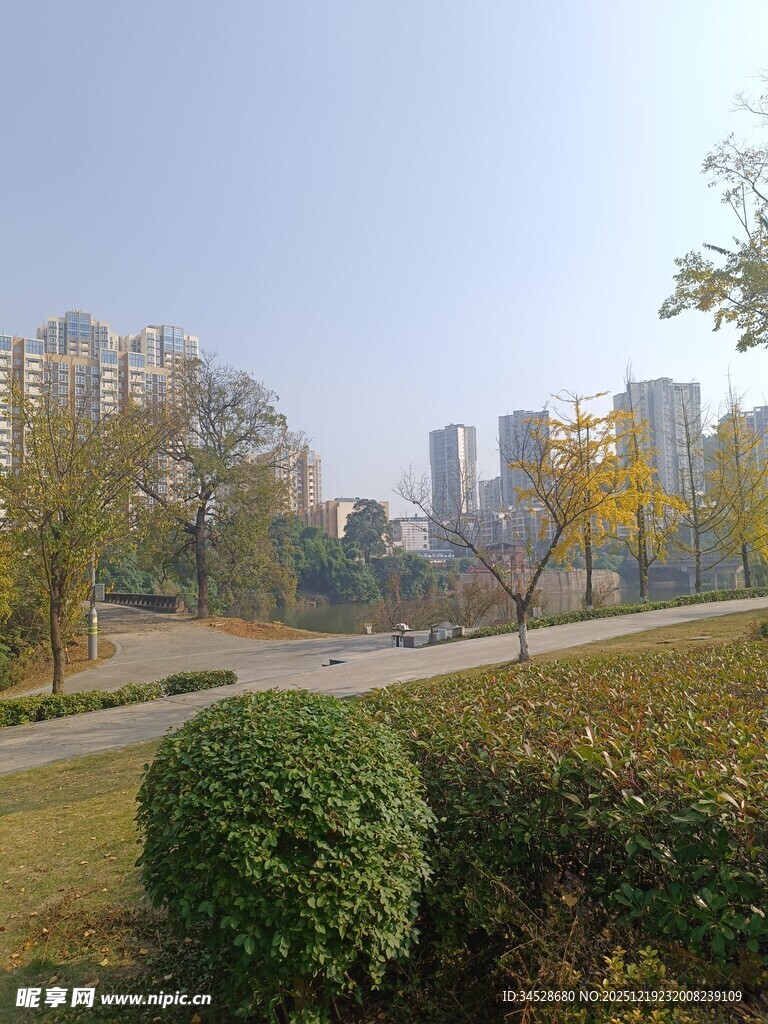 城市公园秋日景致