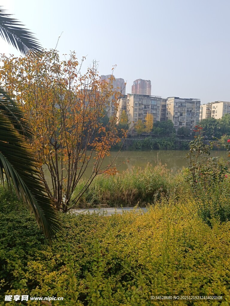 城郊秋日自然与建筑景致