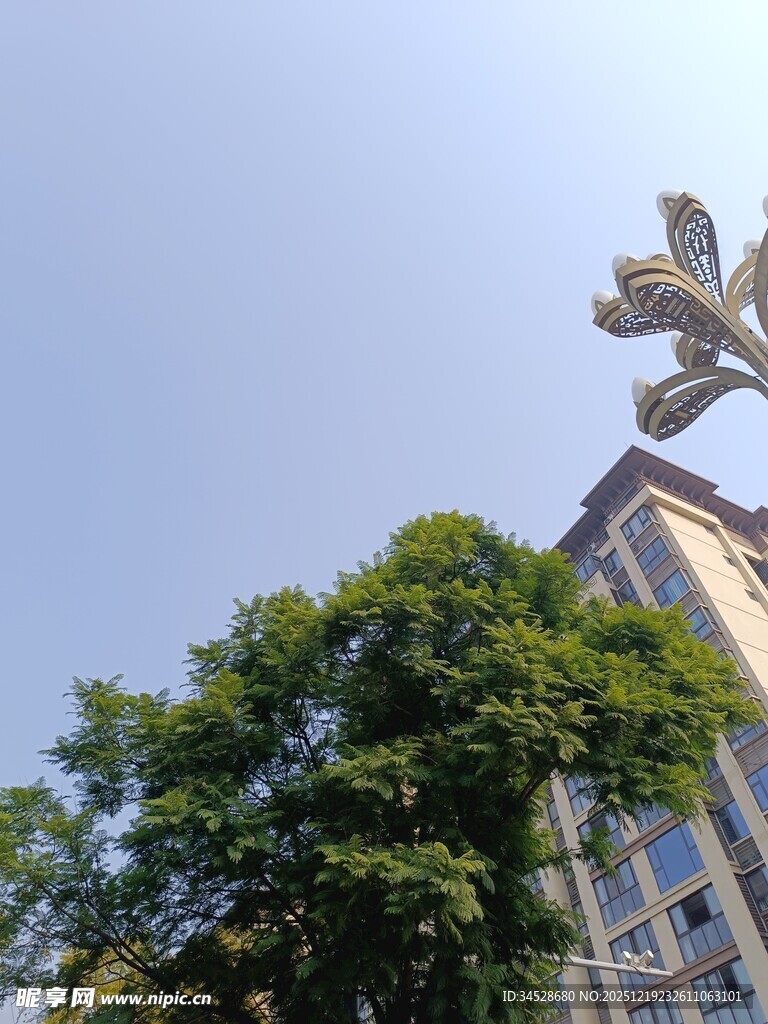 高楼顶端雕塑与绿树景观