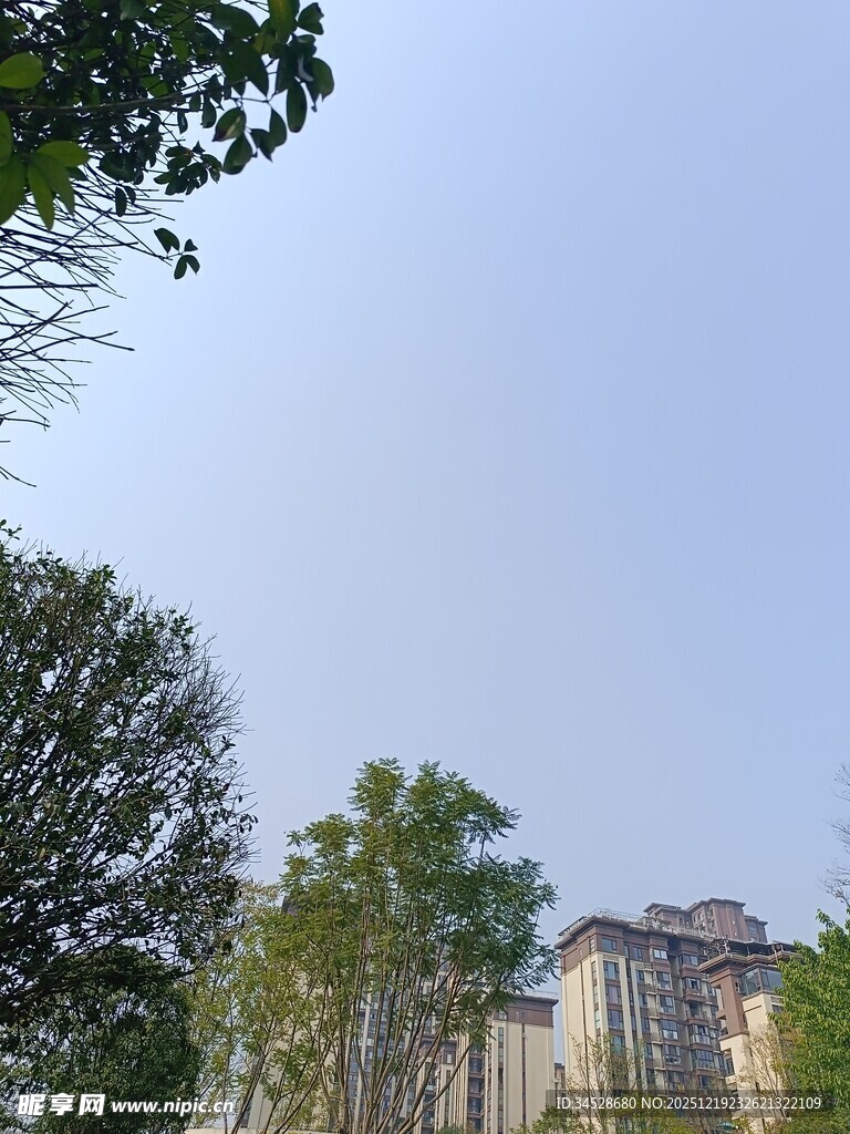 绿树环绕的楼宇景观