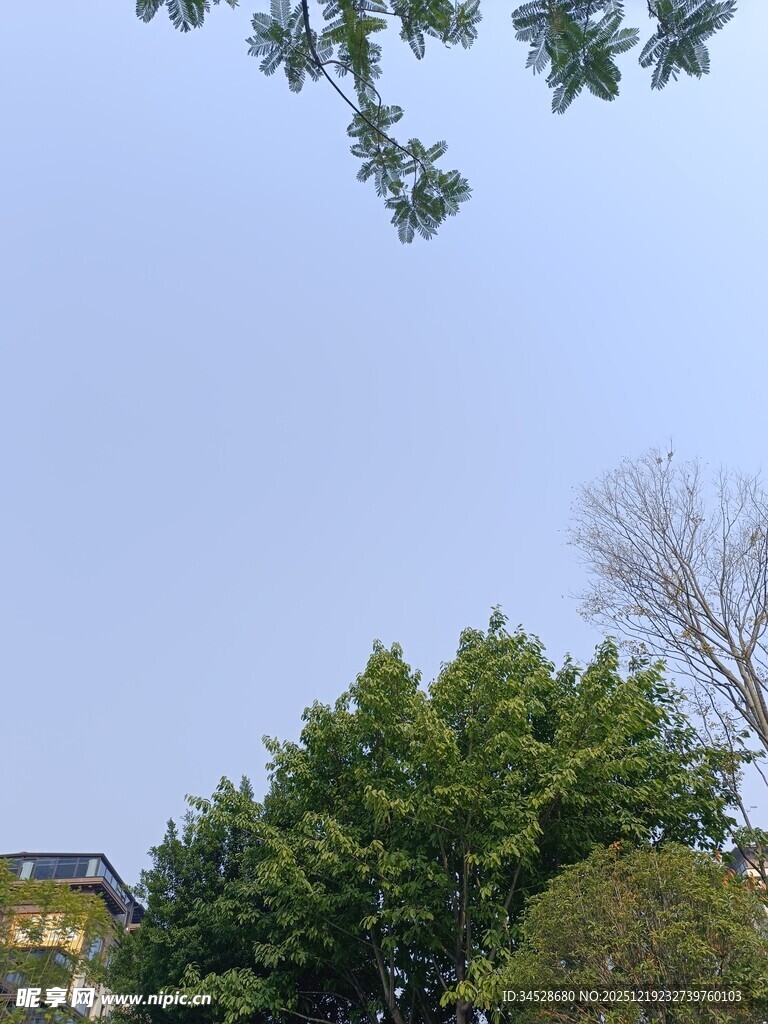 蓝天绿树间的建筑一角