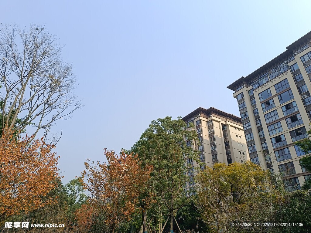 秋日小区旁的多彩树木