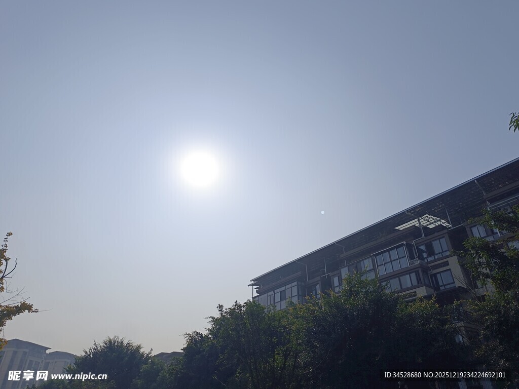 阳光下的建筑与绿植