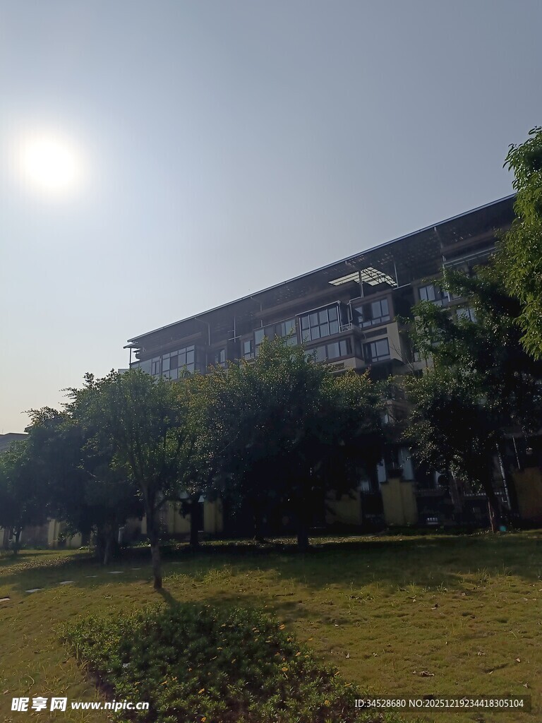 阳光下的校园建筑景观