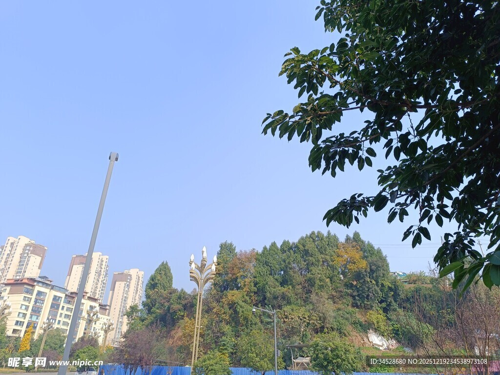 城市与绿树相映的景致