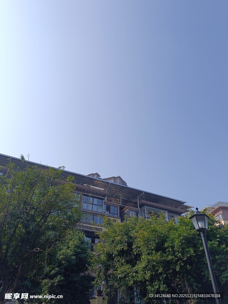 绿树掩映下的多层建筑