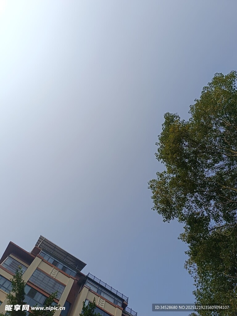 蓝天绿树旁的建筑