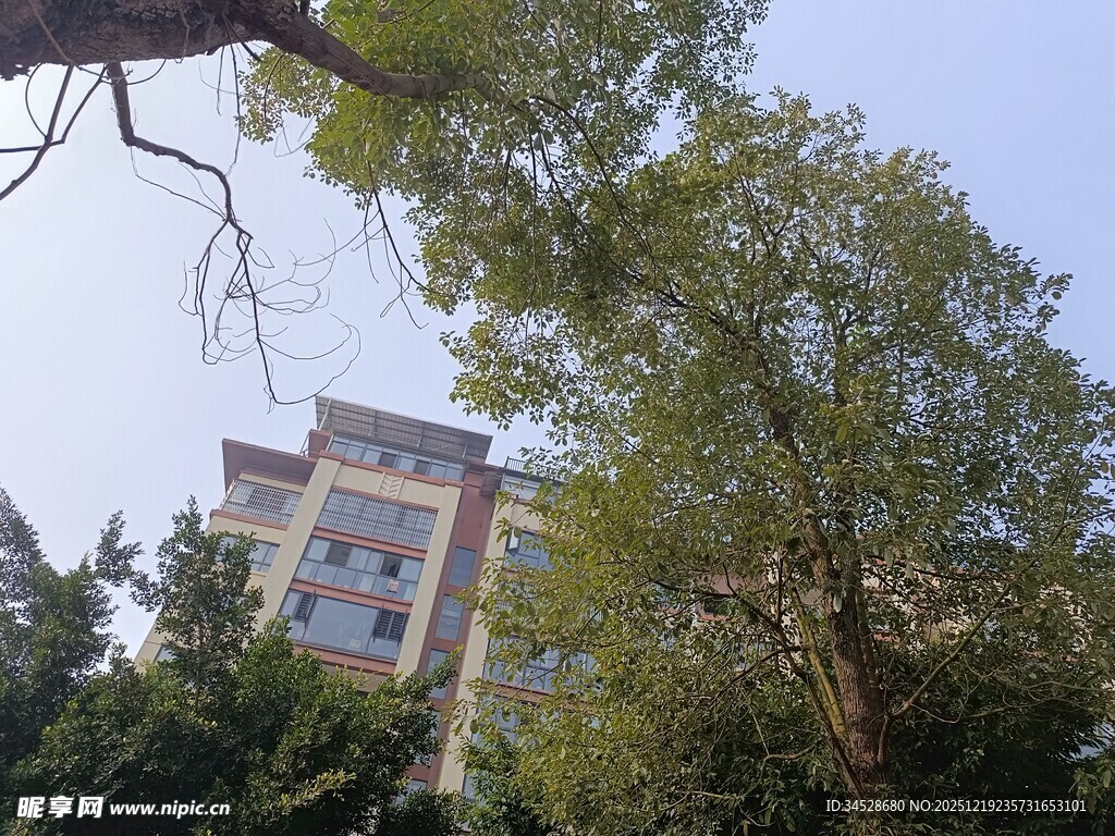 绿树掩映下的多层建筑