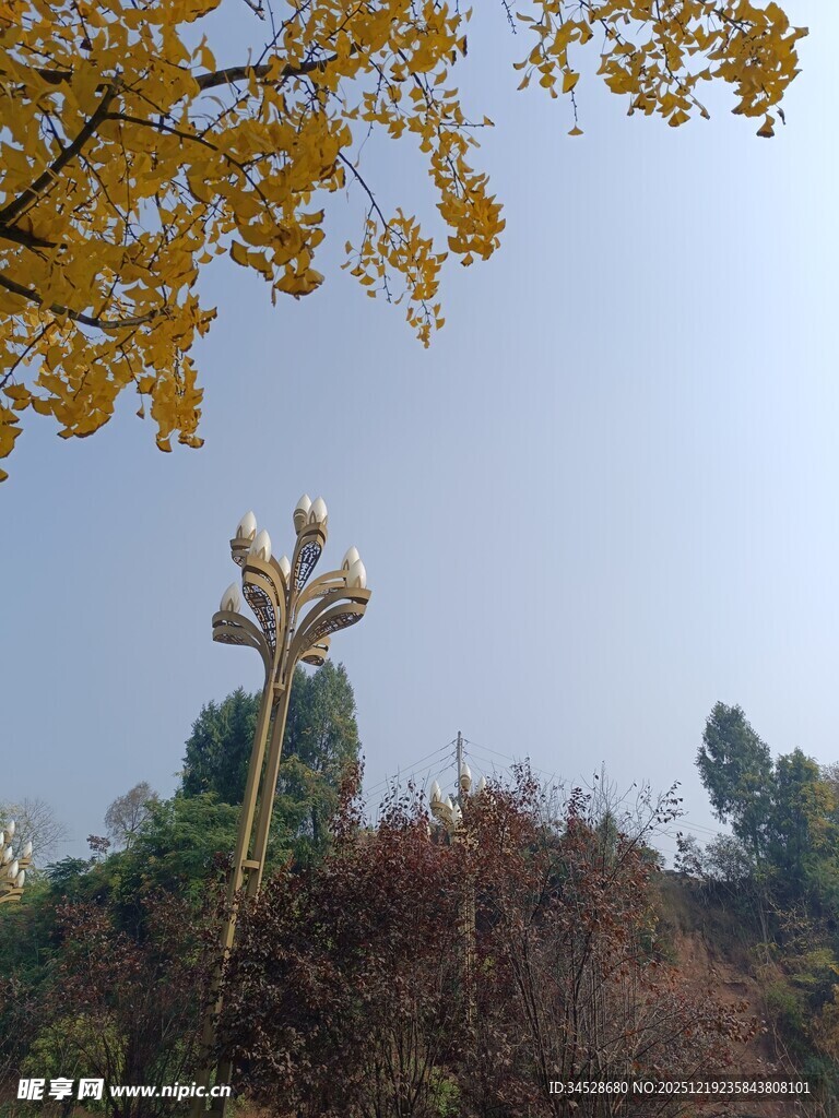 秋日银杏下的独特雕塑