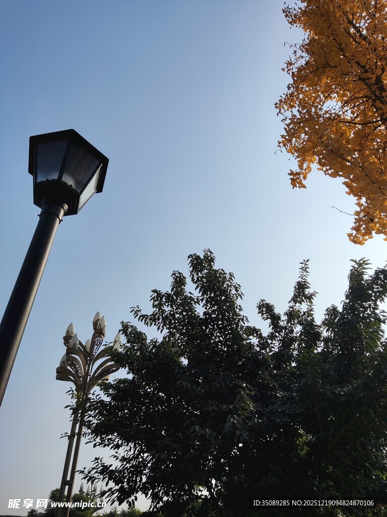 秋日公园中的路灯与树木