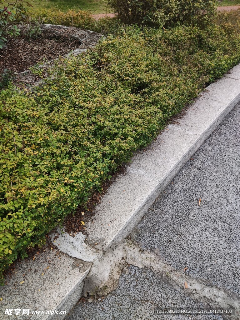 路边绿植与破损路面