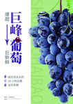 水果海报葡萄宣传页展示