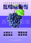 水果海报葡萄水润多汁营养佳