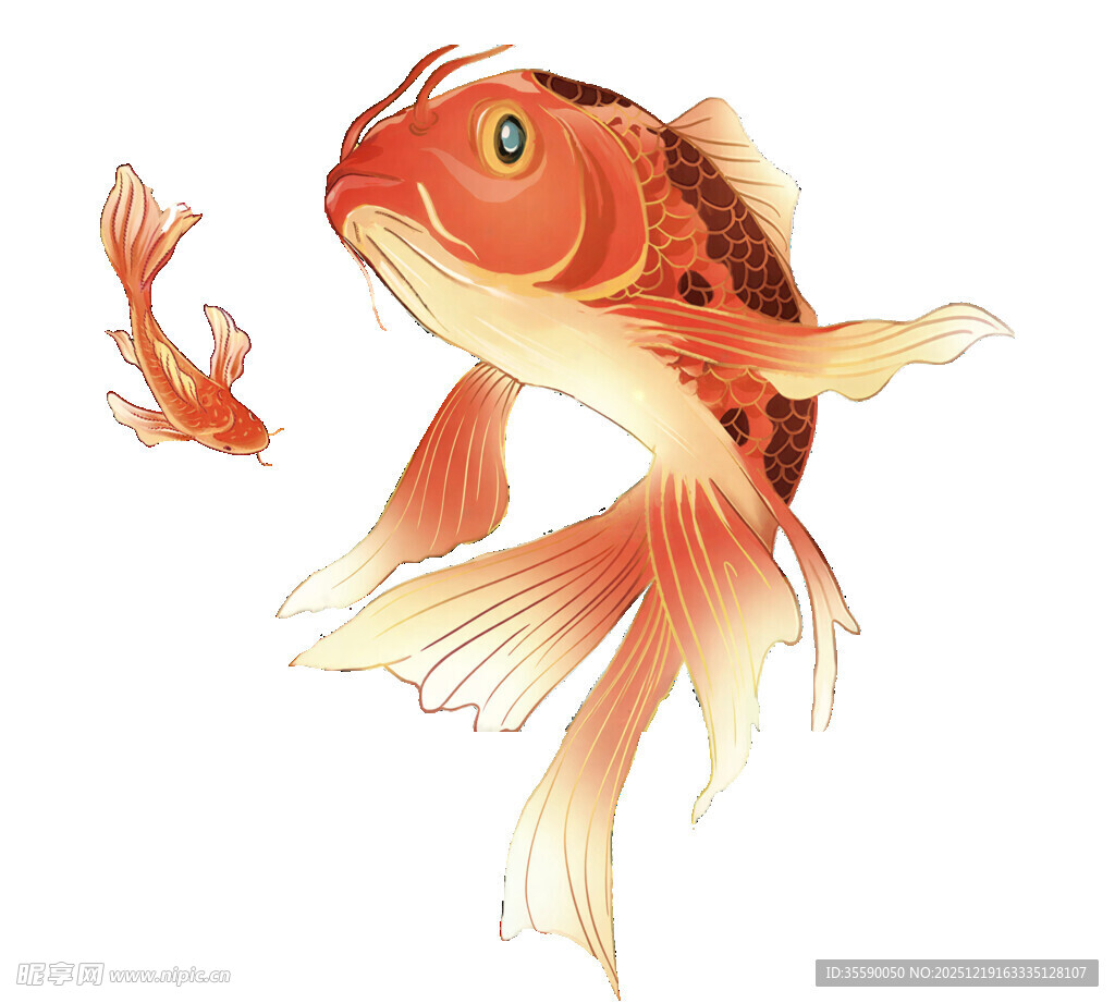 灵动金鱼绘图