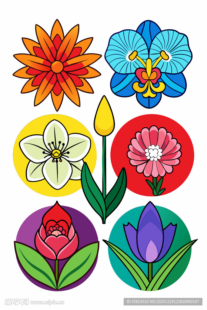 多彩花卉图案集合