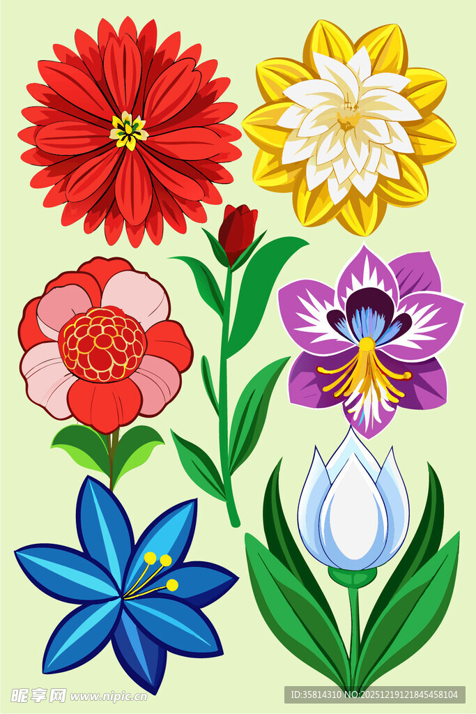多彩花卉插画