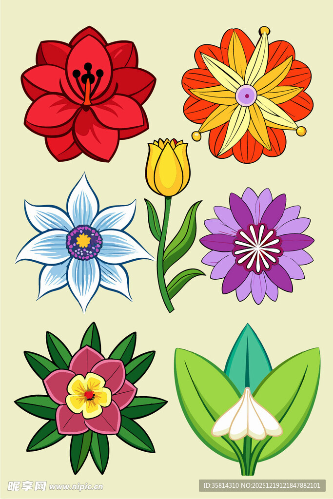 多彩手绘花卉图案集合