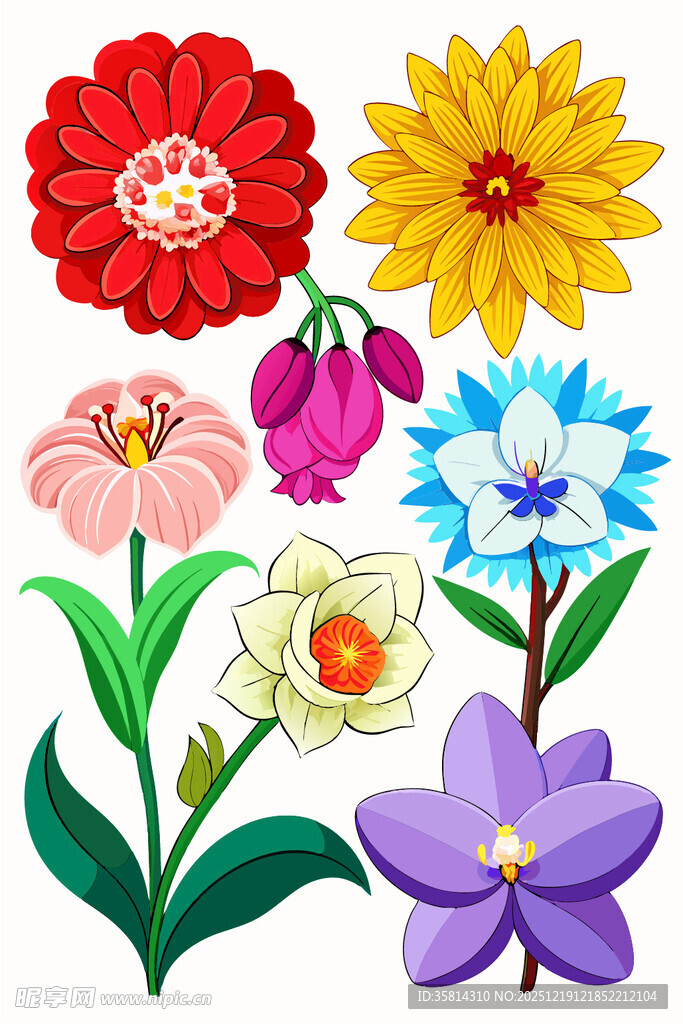 多彩花卉矢量插画