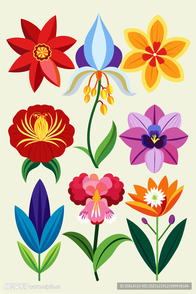 多彩花卉插画集合