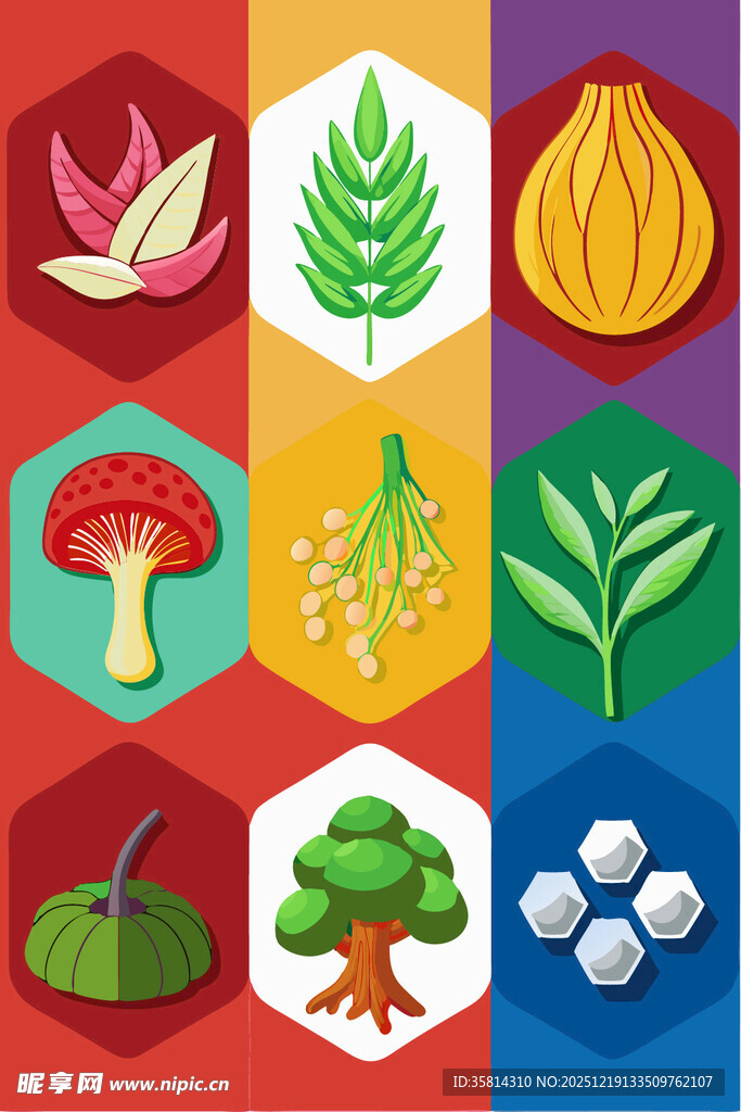 多样农产品展示