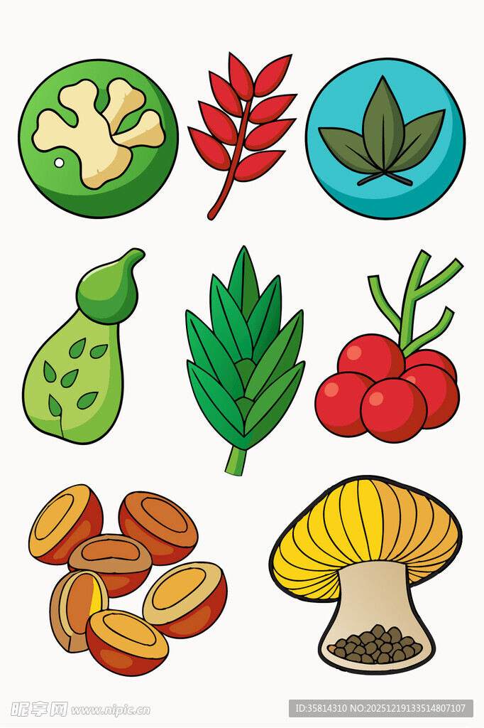 多彩蔬果与蘑菇插画