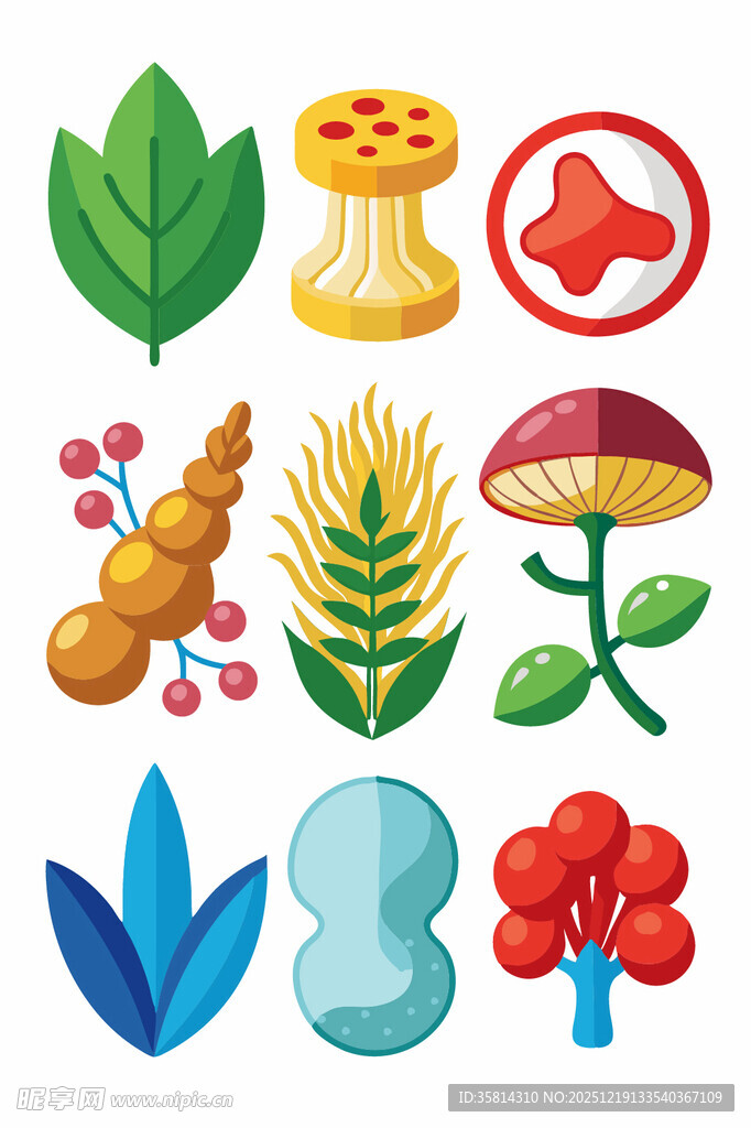 多样植物元素插画