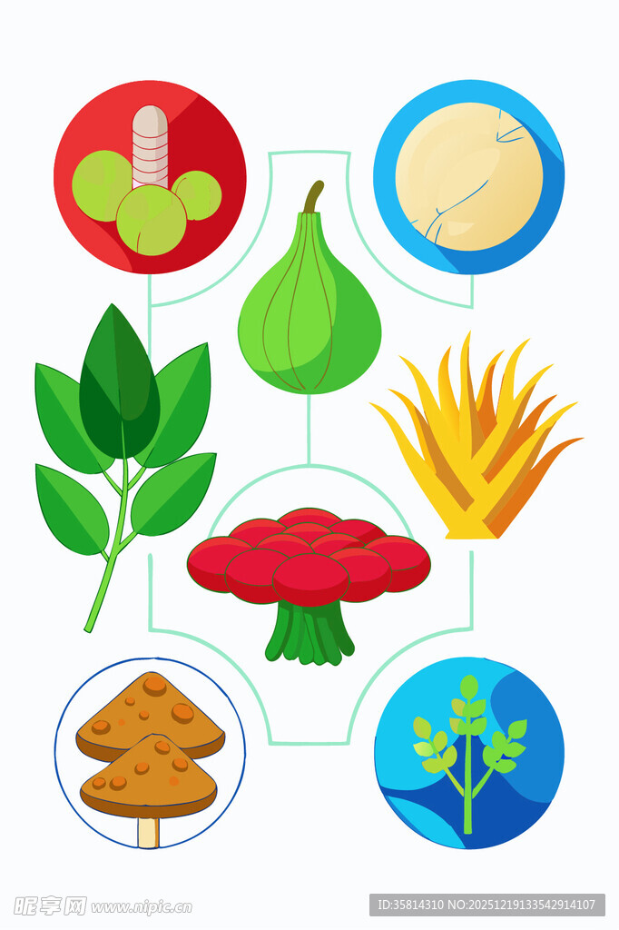 多样天然植物食材展示