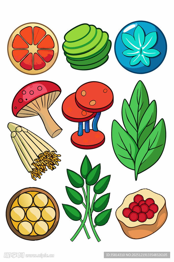 多样植物食材插画展示