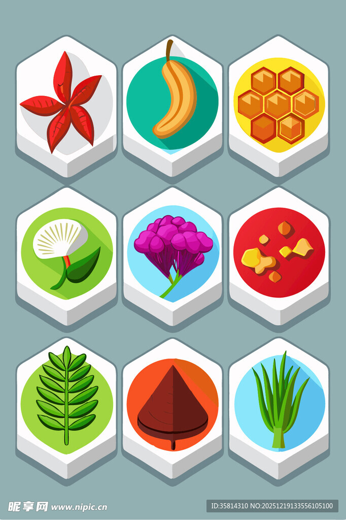多样热带元素图标集合
