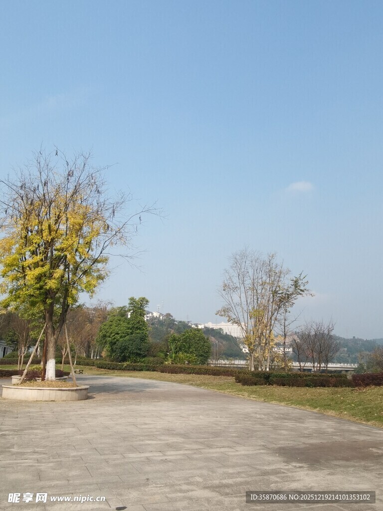 空旷户外场地与树木景观