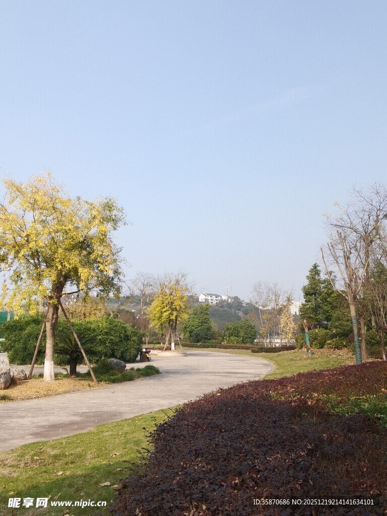 宁静美丽的户外园林景致