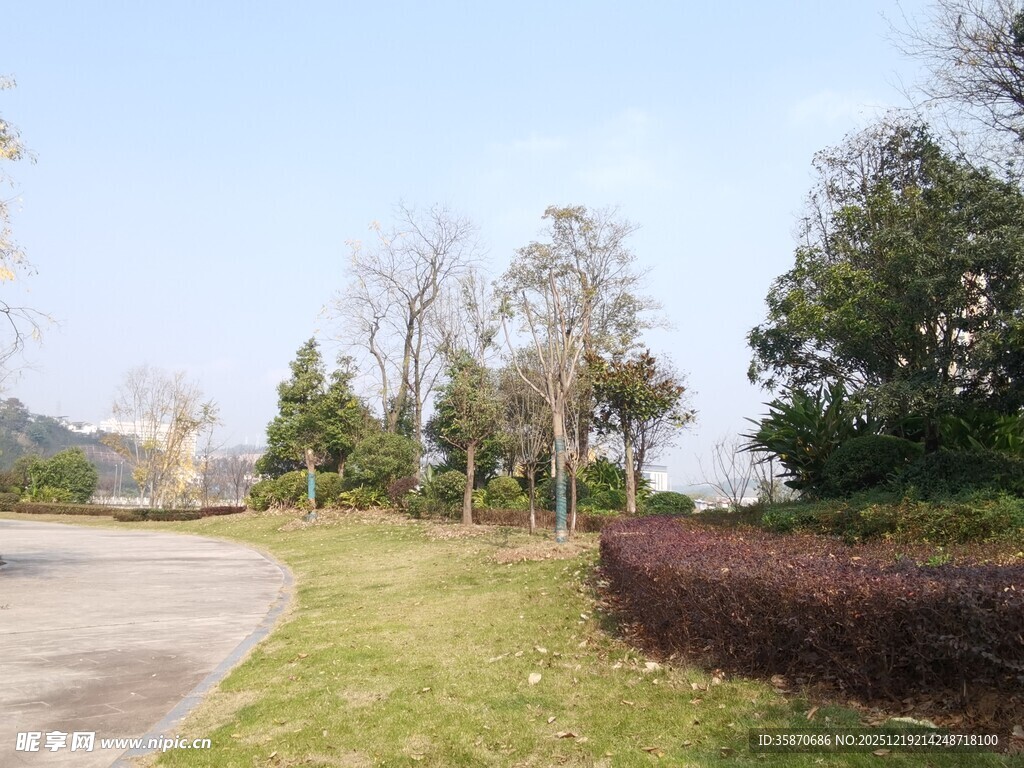 户外清新园林景观