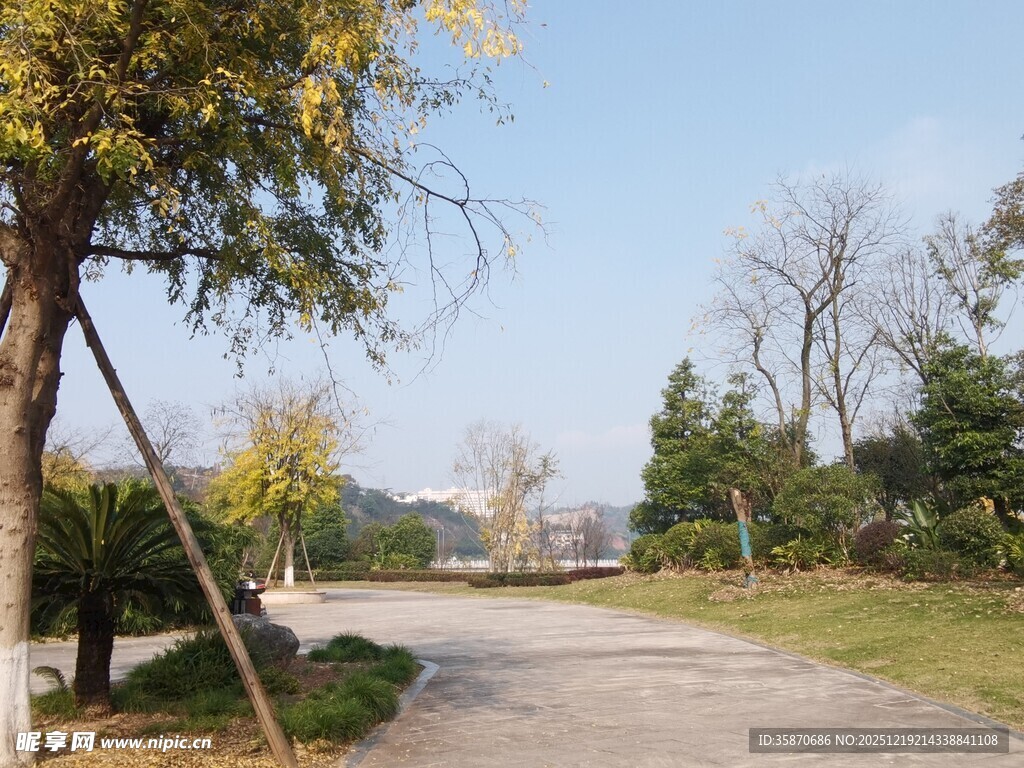 林间小道静谧自然风光