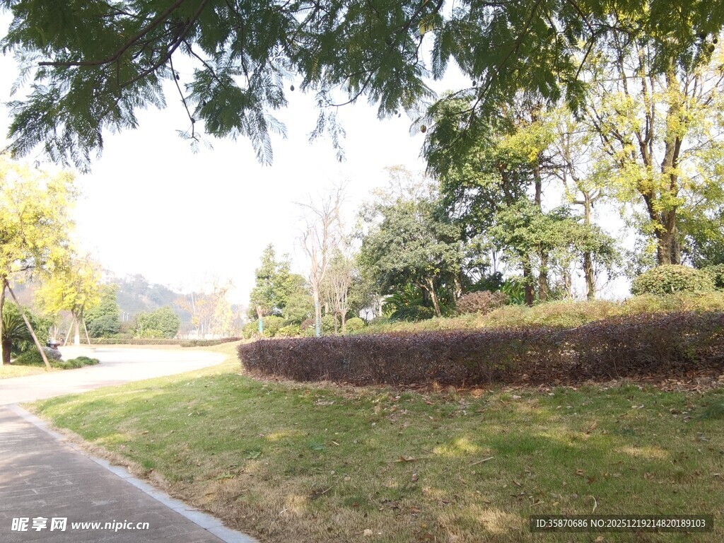 秋日林荫小道风景