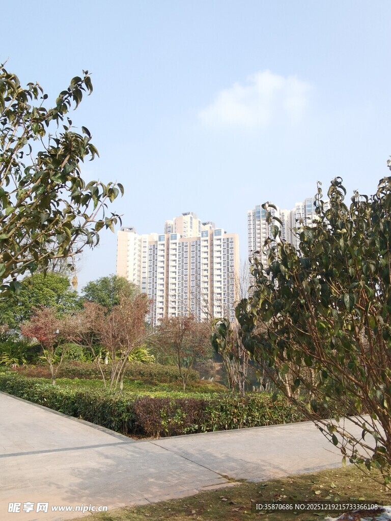 城市公园中的自然与建筑景观