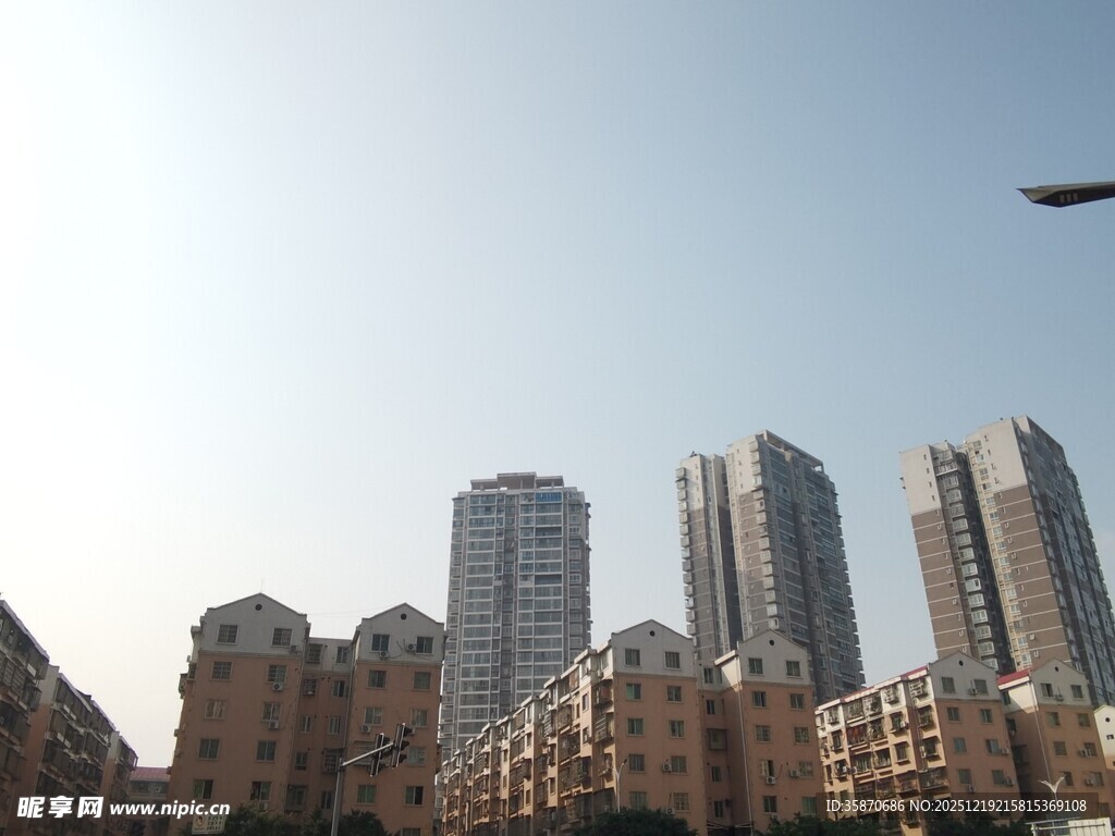 城市高楼与空中飞鸟