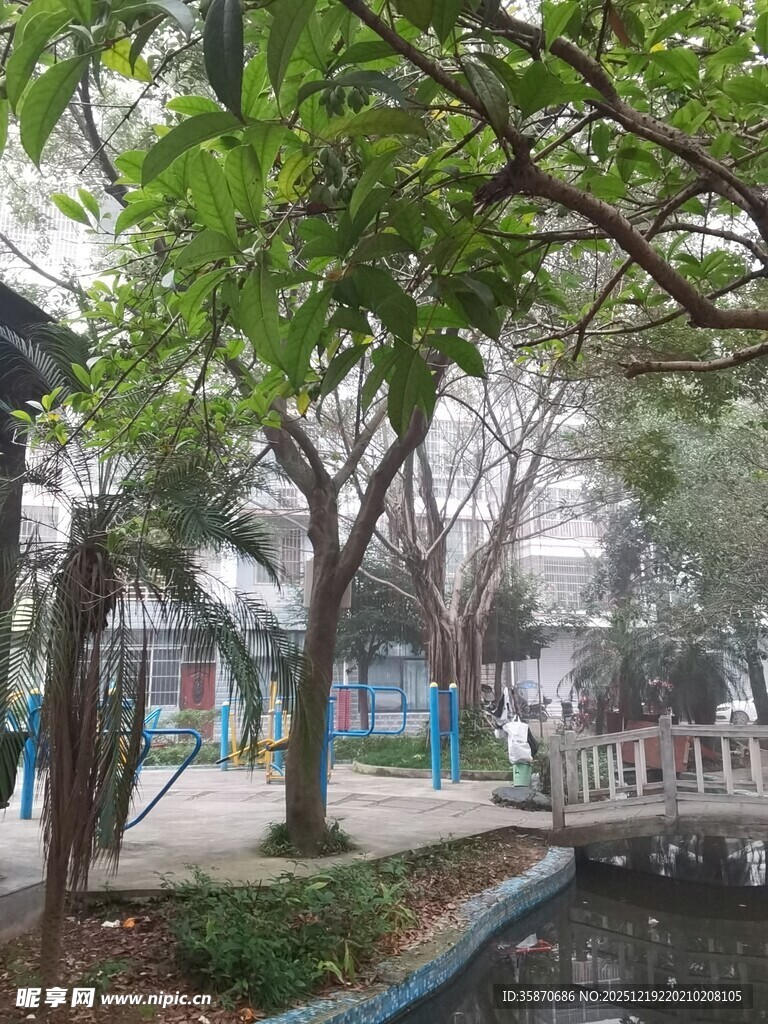 公园内的绿树与休闲设施