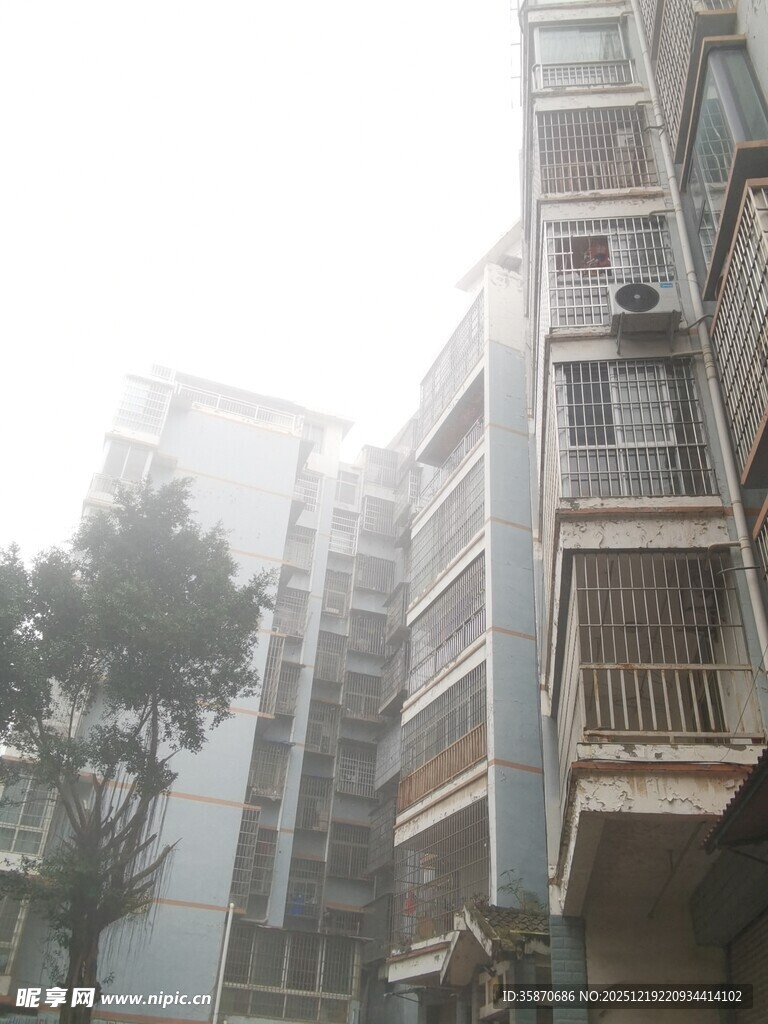 雾中居民楼景象