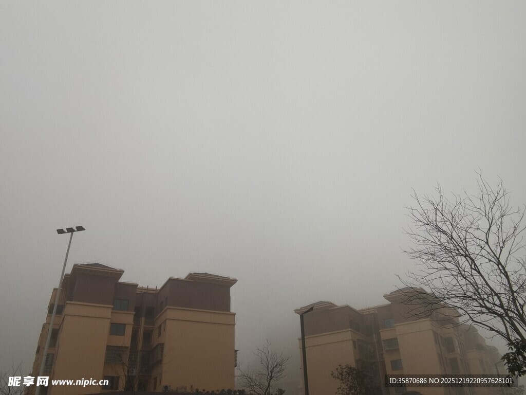 雾中楼宇与光秃树木