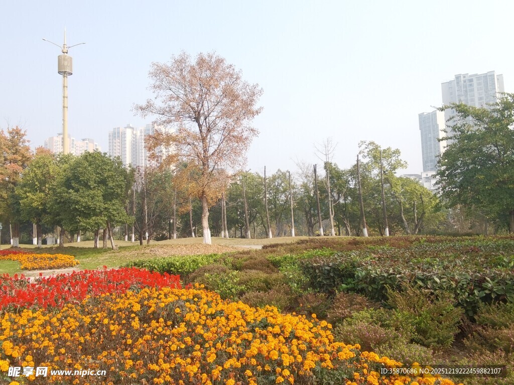 秋日公园多彩花卉景观