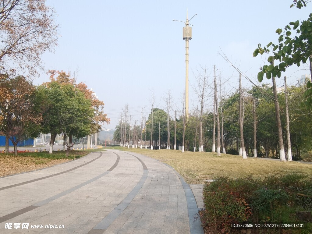公园内的开阔道路与高塔