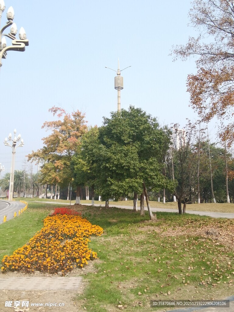 秋日公园的多彩花卉景观