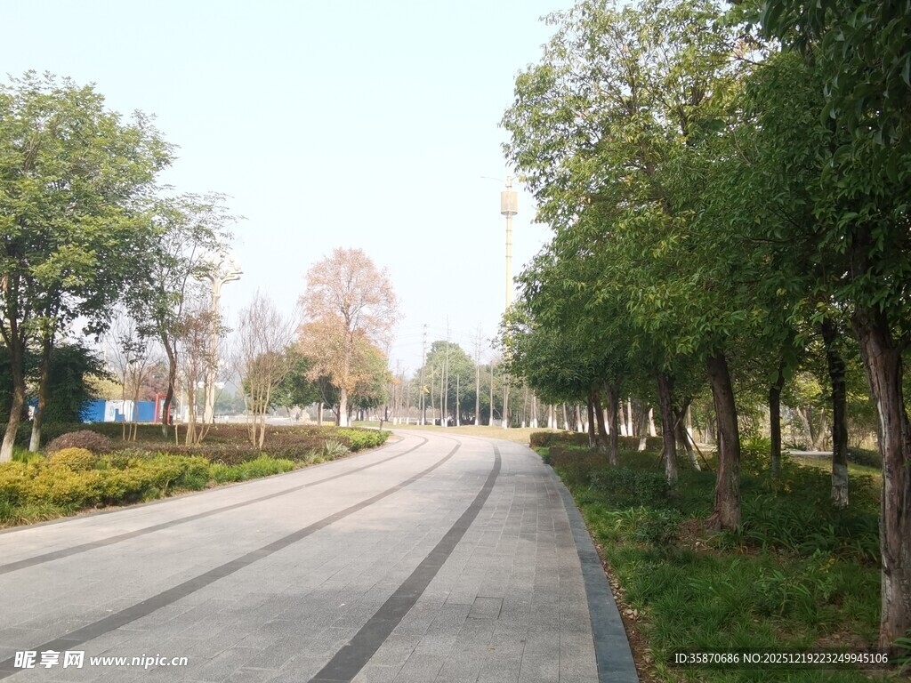 林间宽阔平坦的柏油道路