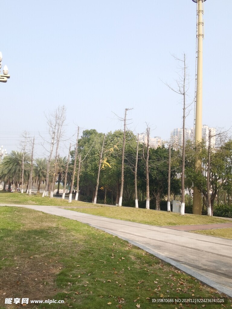 公园小路旁的开阔景致