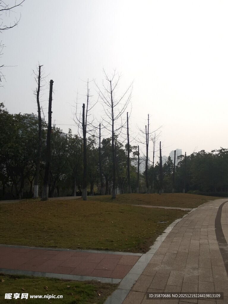 城市公园中的空旷步道景观