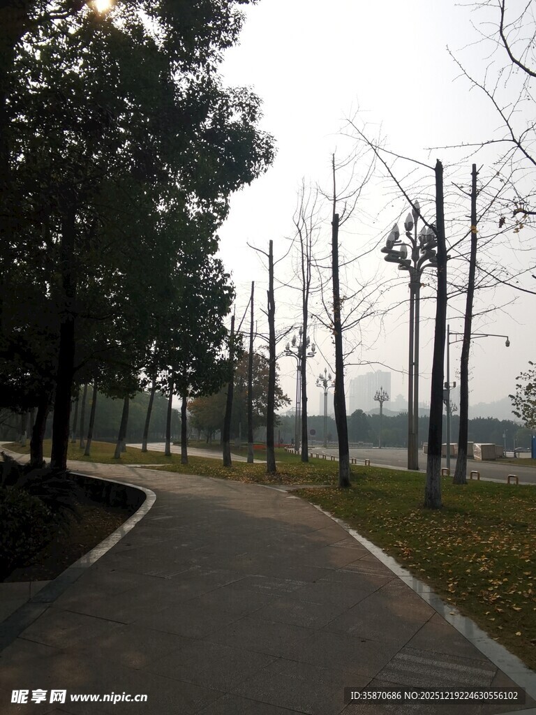 城市中的林荫健身步道