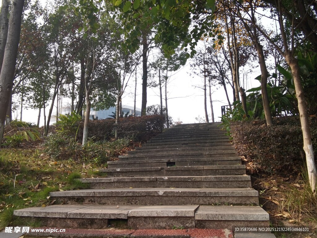 林间石阶通往静谧之境