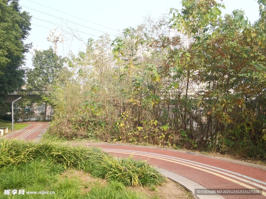 林间蜿蜒的红色骑行步道