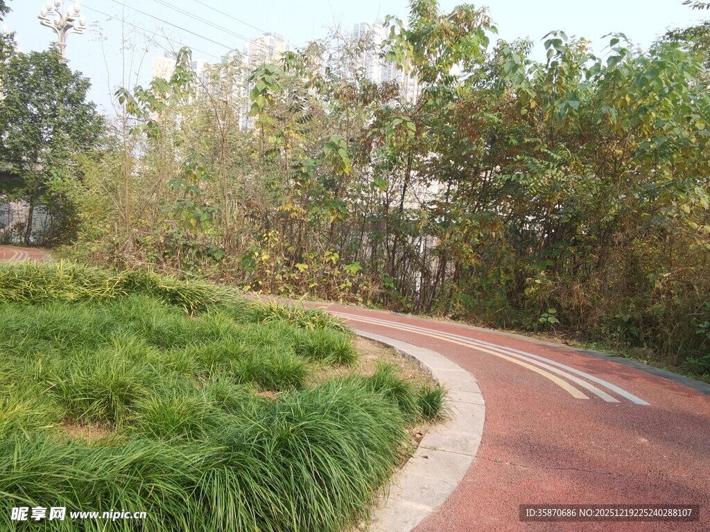 林间蜿蜒的红色骑行小道